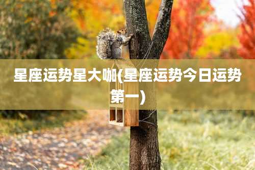 星座运势星大咖(星座运势今日运势第一)