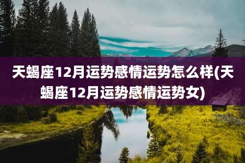 天蝎座12月运势感情运势怎么样(天蝎座12月运势感情运势女)