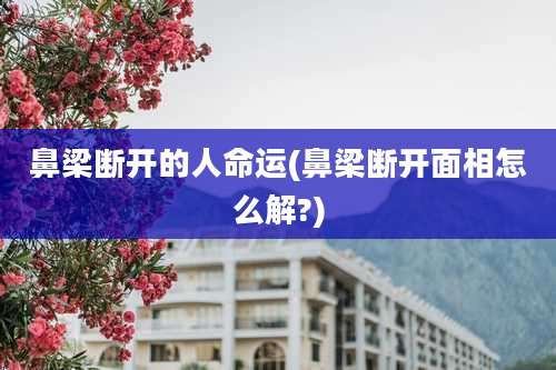 鼻梁断开的人命运(鼻梁断开面相怎么解?)