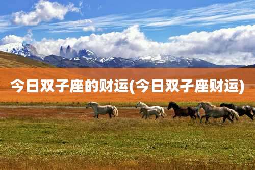 今日双子座的财运(今日双孑座财运)