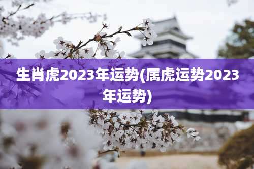 生肖虎2023年运势(属虎运势2023年运势)