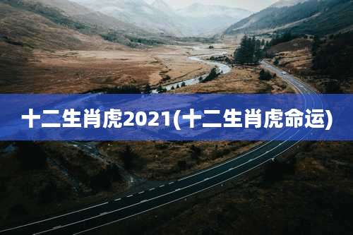 十二生肖虎2021(十二生肖虎命运)