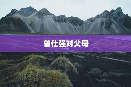 曾仕强对父母