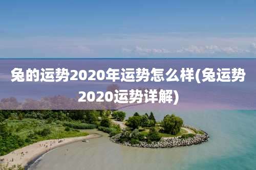 兔的运势2020年运势怎么样(兔运势2020运势详解)