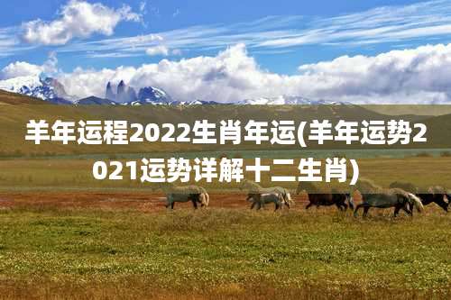 羊年运程2022生肖年运(羊年运势2021运势详解十二生肖)