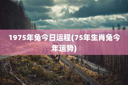 1975年兔今日运程(75年生肖兔今年运势)
