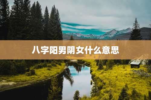 八字阳男阴女什么意思