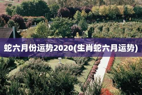 蛇六月份运势2020(生肖蛇六月运势)