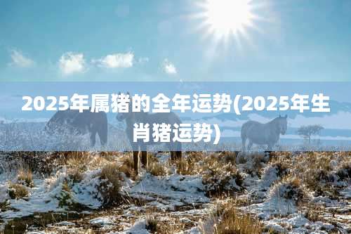 2025年属猪的全年运势(2025年生肖猪运势)