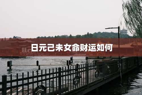 日元己未女命财运如何
