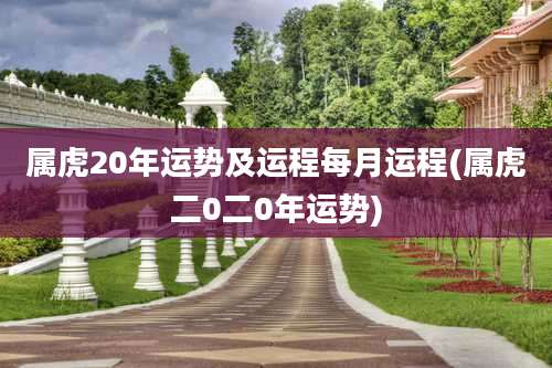 属虎20年运势及运程每月运程(属虎二0二0年运势)