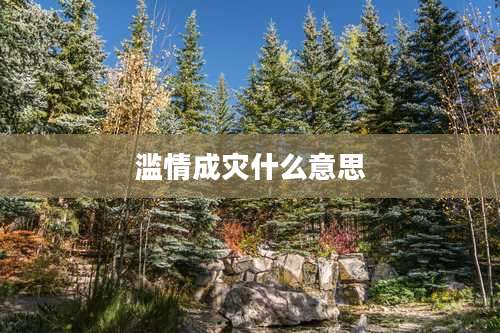 滥情成灾什么意思