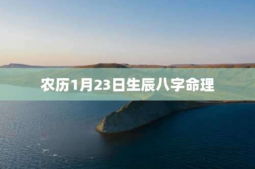 农历1月23日生辰八字命理