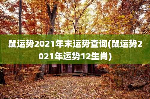 鼠运势2021年末运势查询(鼠运势2021年运势12生肖)