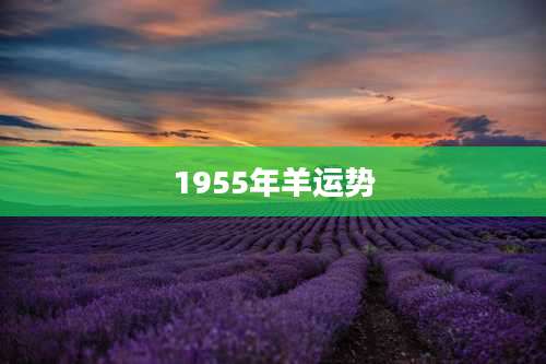 1955年羊运势