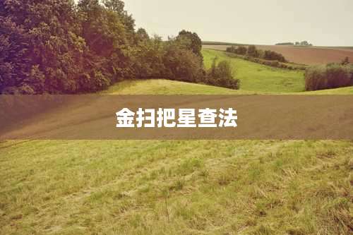 金扫把星查法