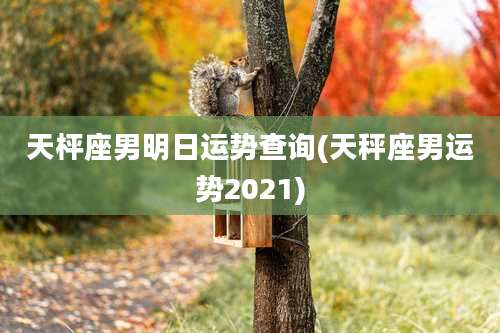 天枰座男明日运势查询(天秤座男运势2021)
