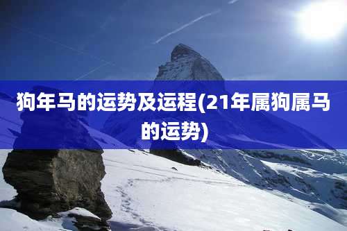 狗年马的运势及运程(21年属狗属马的运势)