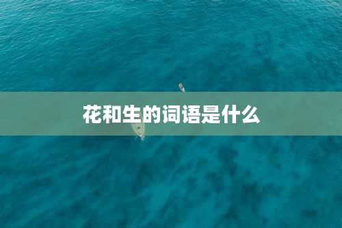 花和生的词语是什么