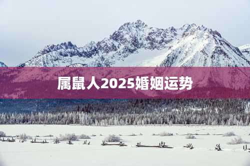 属鼠人2025婚姻运势