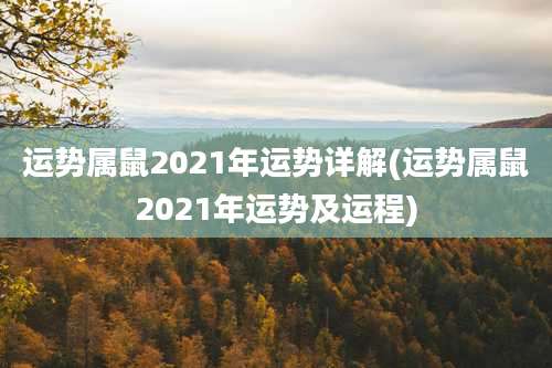 运势属鼠2021年运势详解(运势属鼠2021年运势及运程)