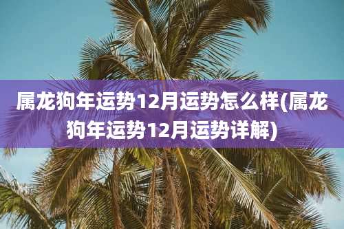 属龙狗年运势12月运势怎么样(属龙狗年运势12月运势详解)
