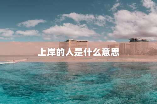 上岸的人是什么意思