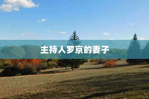 主持人罗京的妻子