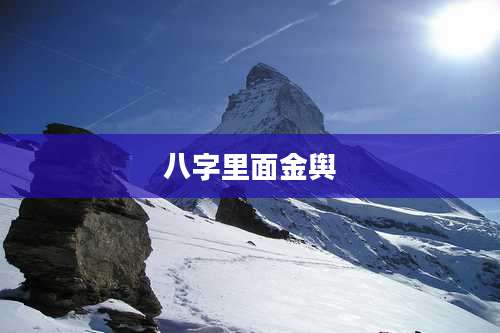 八字里面金舆