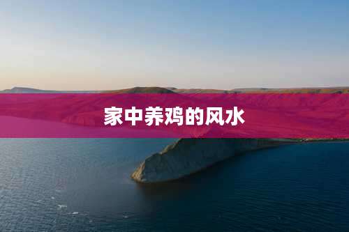 家中养鸡的风水