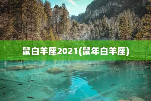 鼠白羊座2021(鼠年白羊座)