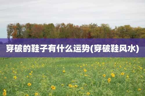 穿破的鞋子有什么运势(穿破鞋风水)