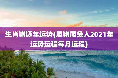 生肖猪逐年运势(属猪属兔人2021年运势运程每月运程)
