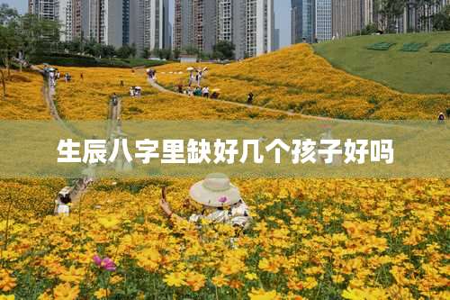 生辰八字里缺好几个孩子好吗