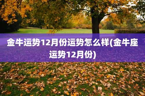 金牛运势12月份运势怎么样(金牛座运势12月份)