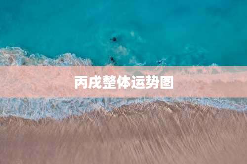 丙戌整体运势图