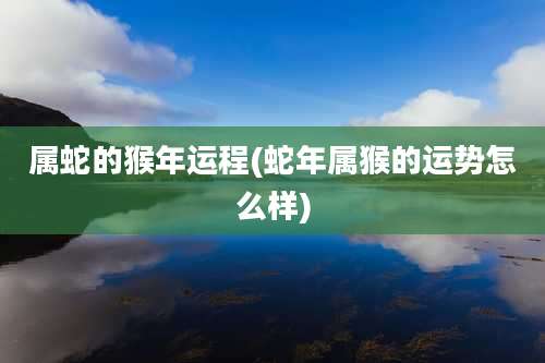 属蛇的猴年运程(蛇年属猴的运势怎么样)