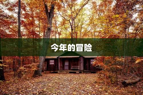 今年的冒险