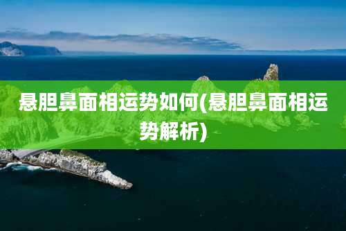 悬胆鼻面相运势如何(悬胆鼻面相运势解析)