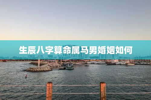 生辰八字算命属马男婚姻如何