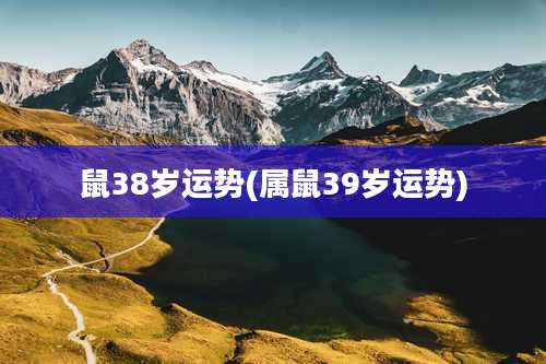 鼠38岁运势(属鼠39岁运势)