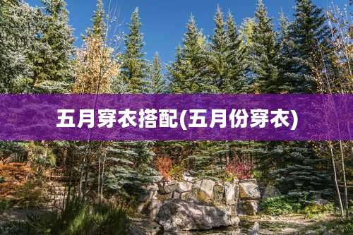 五月穿衣搭配(五月份穿衣)