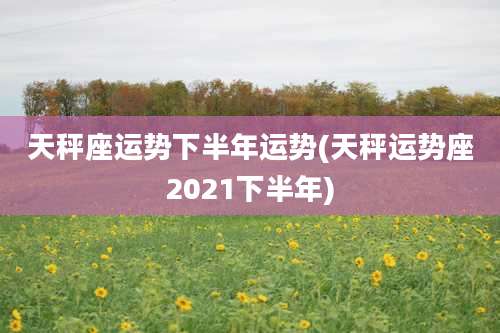 天秤座运势下半年运势(天秤运势座2021下半年)
