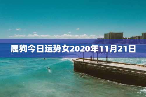 属狗今日运势女2020年11月21日