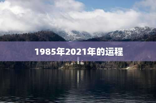 1985年2021年的运程