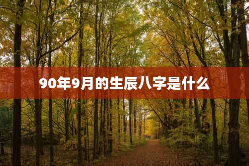 90年9月的生辰八字是什么