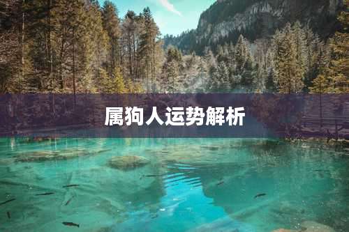 属狗人运势解析