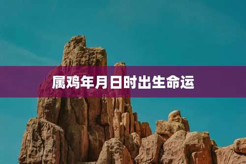 属鸡年月日时出生命运