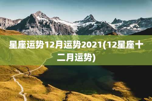 星座运势12月运势2021(12星座十二月运势)