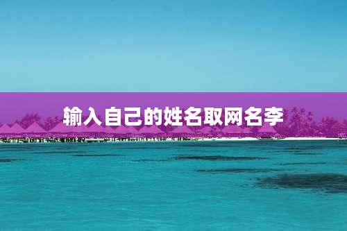 输入自己的姓名取网名李